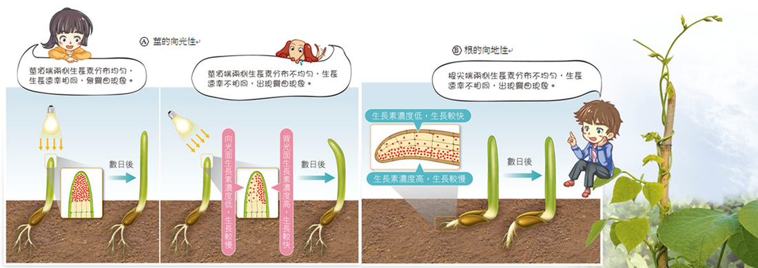 澳门太阳网城官网